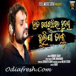 Hata Joduchi Re Hrudaya Bhulija Taku